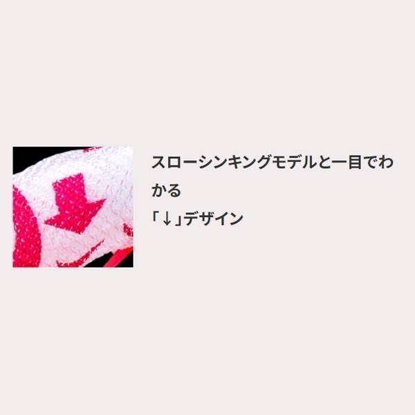 イージーフォール (スローシンキング) 2.5号